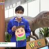 maxresdefault-75.jpg
